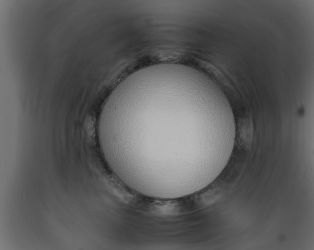 X0000089460667200707061304