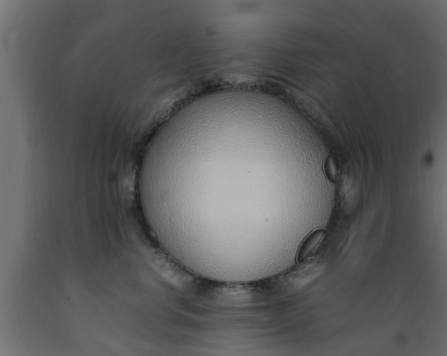 X0000089460668200707061304