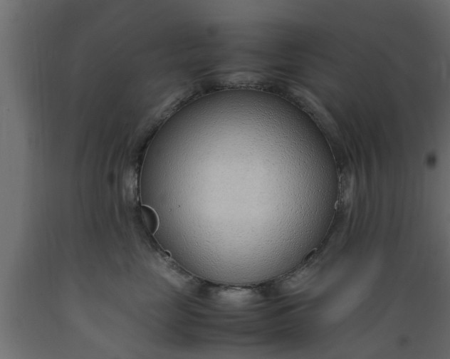 X0000089460669200707061304