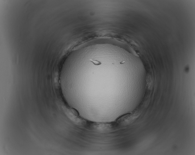 X0000089460670200707061304