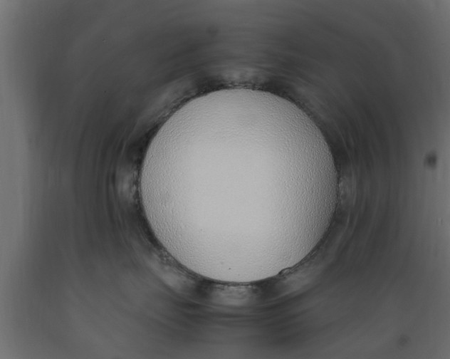 X0000089460671200707061304
