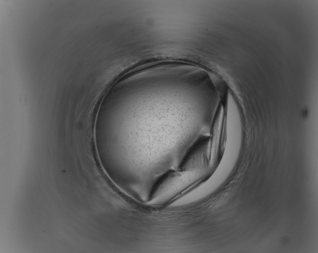 X0000089460673200707061304