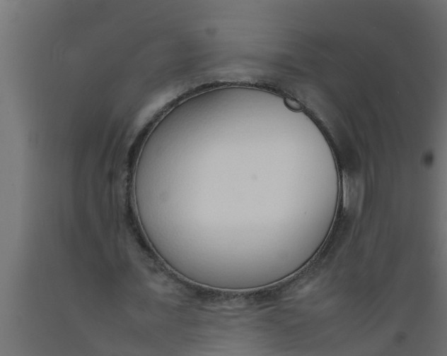 X0000089460675200707061303