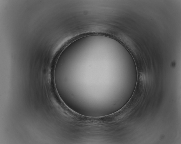 X0000089460676200707061303