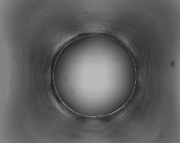X0000089460677200707061303