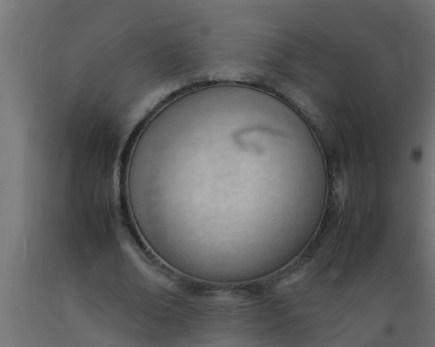 X0000089460678200707061303