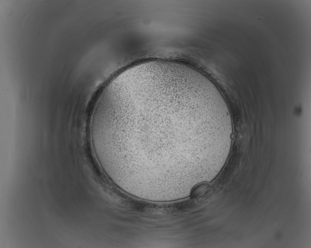 X0000089460679200707061303