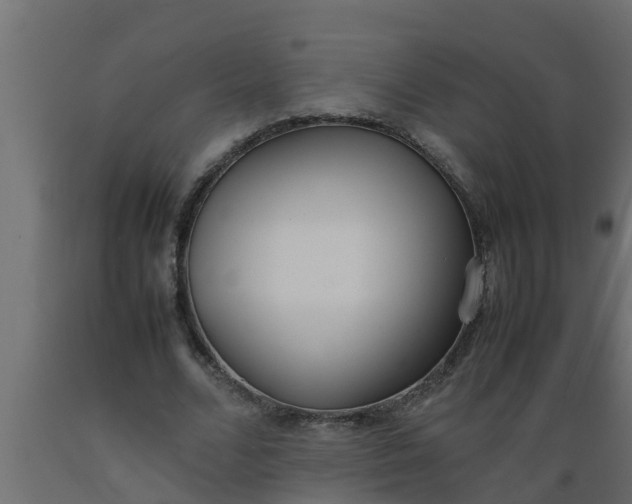 X0000089460680200707061303