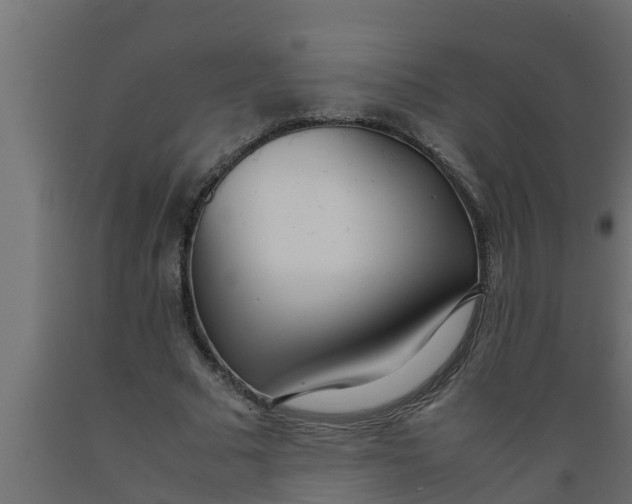 X0000089460681200707061303