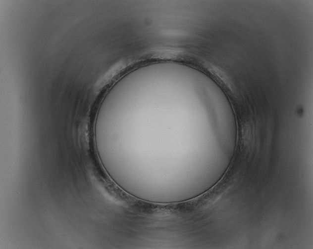 X0000089460682200707061303