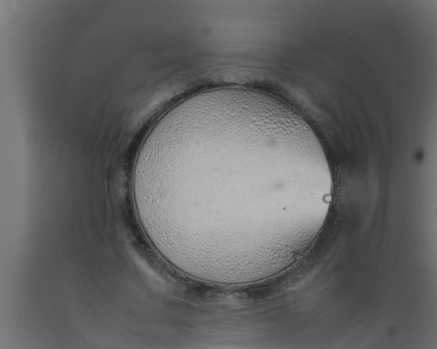 X0000089460683200707061303