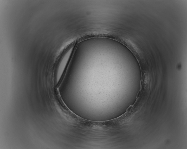 X0000089460684200707061303