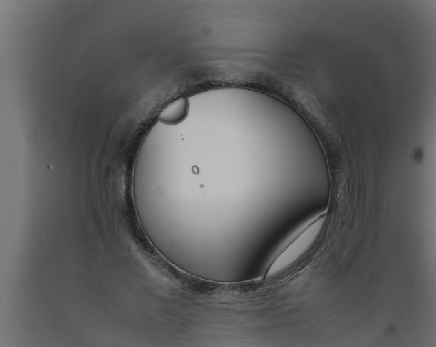 X0000089460685200707061303