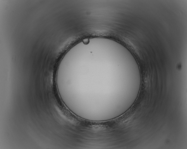 X0000089460686200707061303