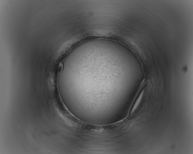 X0000089460688200707061303