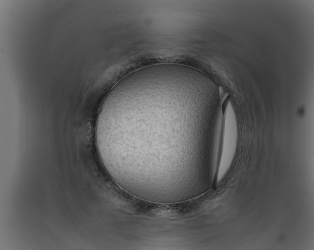 X0000089460689200707061303