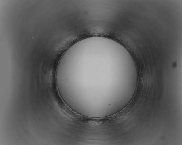 X0000089460690200707061303