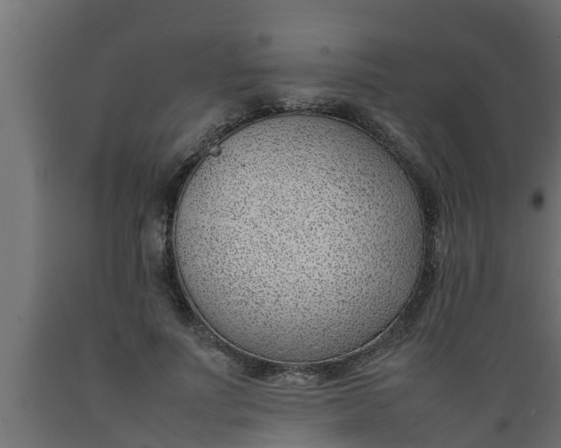 X0000089460691200707061303