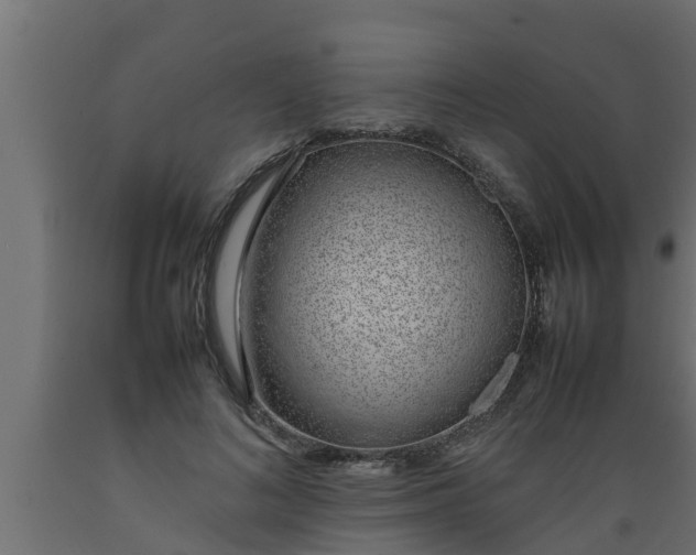 X0000089460692200707061303