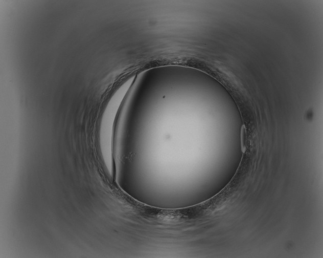 X0000089460693200707061303