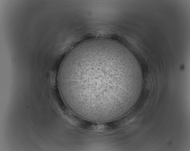 X0000089460695200707061303