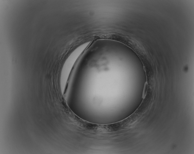 X0000089460697200707061303