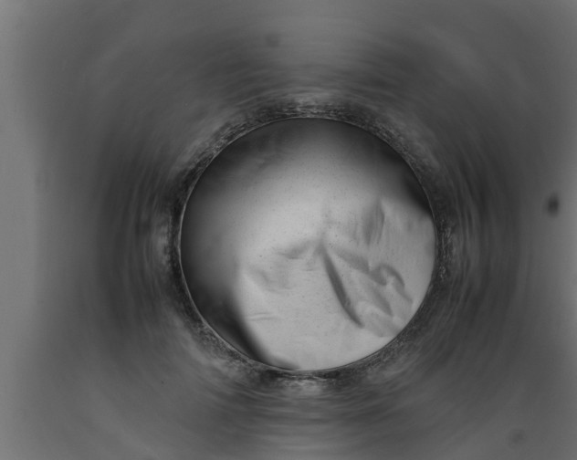 X0000089460698200707061303