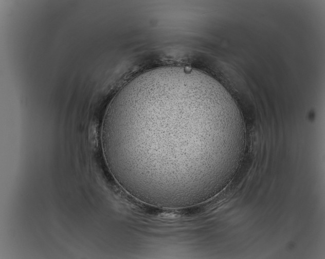 X0000089460699200707061303