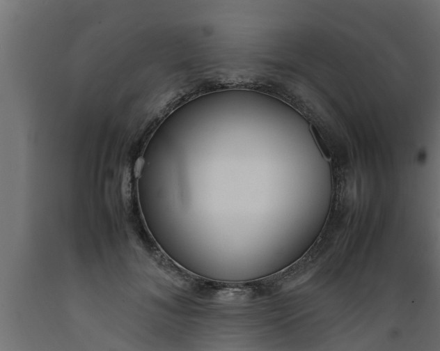 X0000089460700200707061303