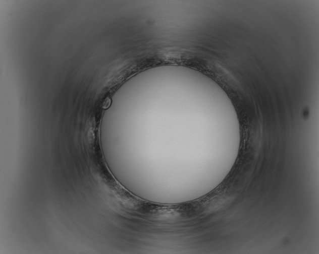X0000089460702200707061303