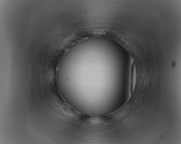 X0000089460704200707061303