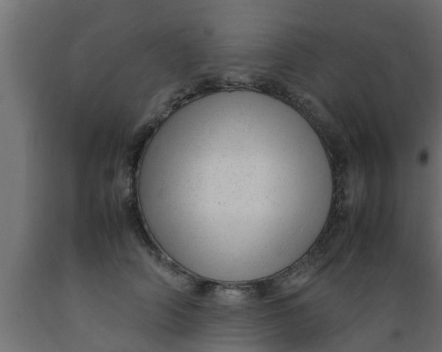 X0000089460706200707061303