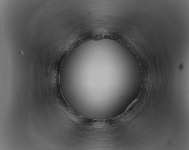X0000089460708200707061303