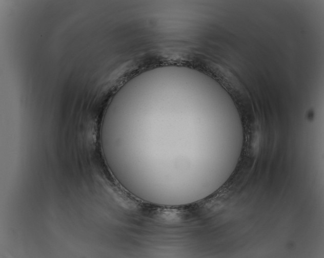 X0000089460710200707061303
