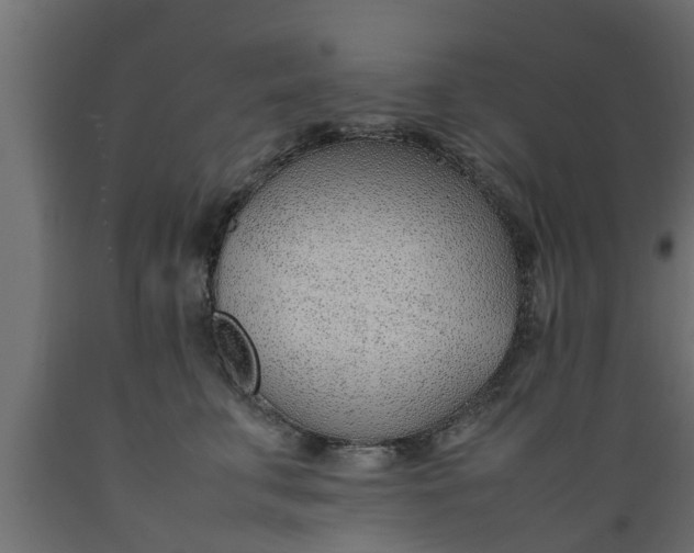 X0000089460711200707061303