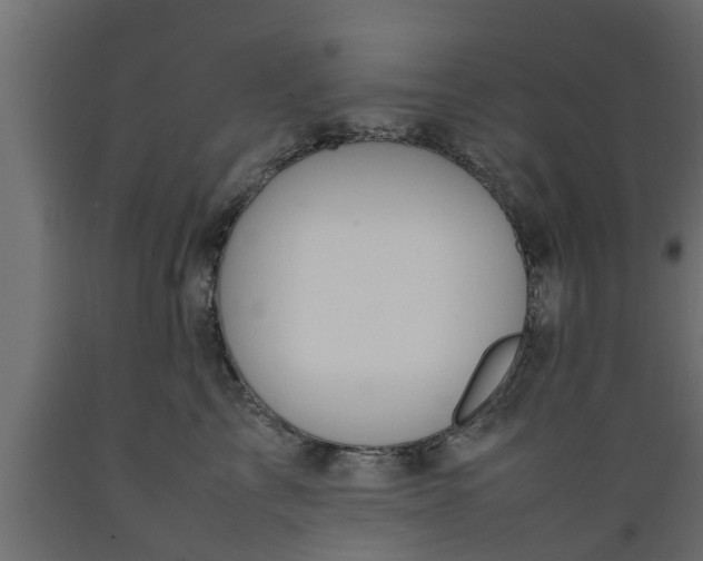 X0000089460713200707061303