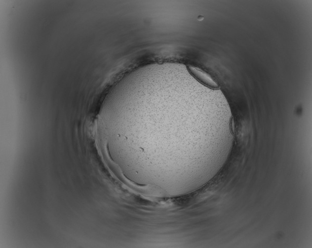 X0000089460715200707061303