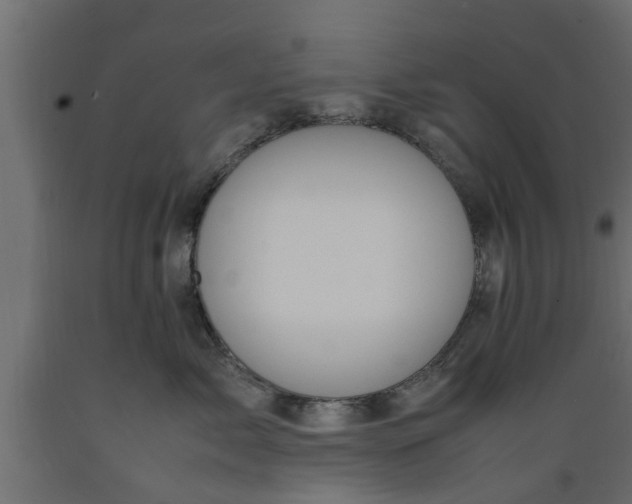 X0000089460717200707061303