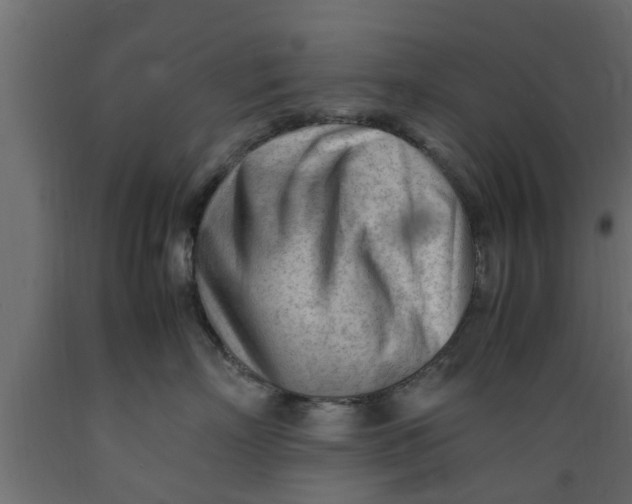 X0000089460718200707061303