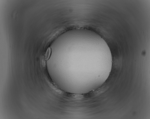 X0000089460719200707061303