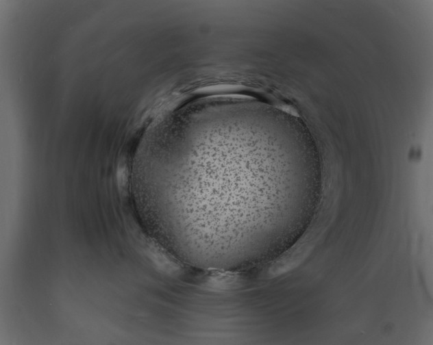 X0000089460720200707061303