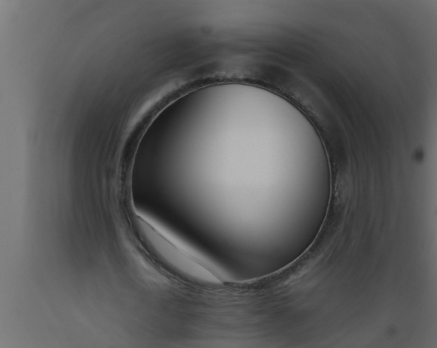 X0000089460722200707061302