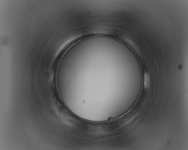 X0000089460723200707061302