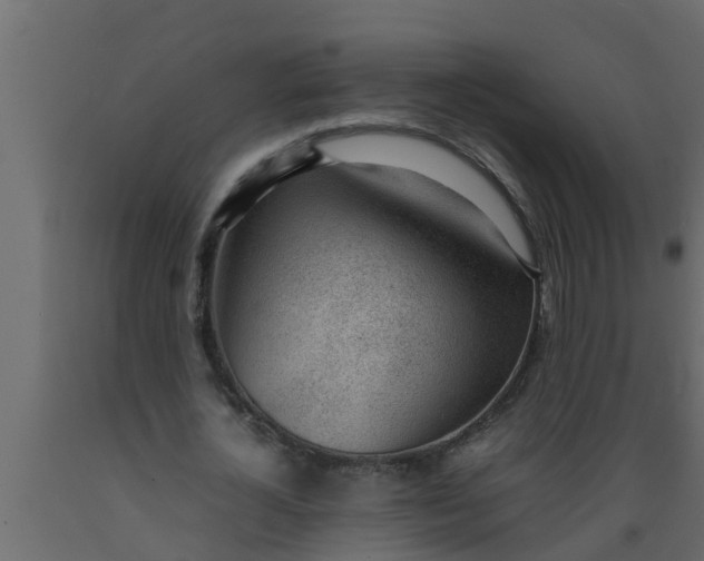 X0000089460724200707061302