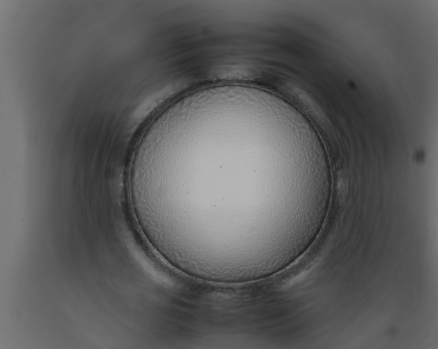 X0000089460725200707061302