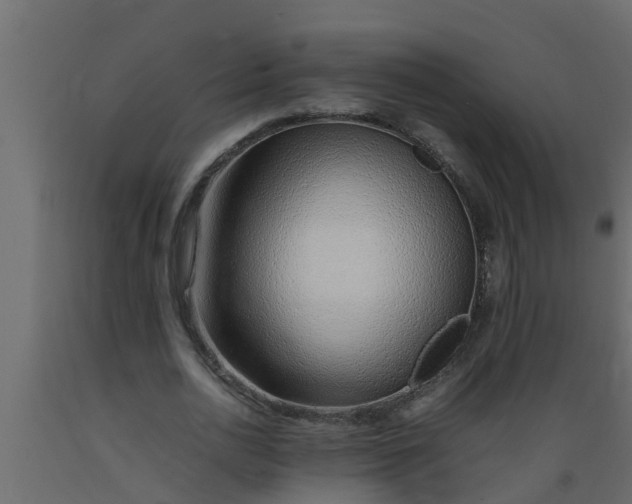 X0000089460726200707061302
