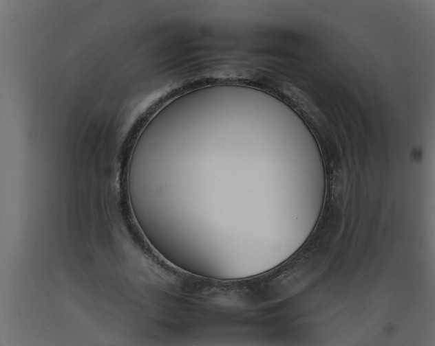 X0000089460727200707061302