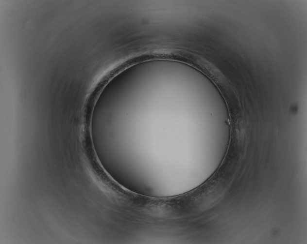 X0000089460728200707061302