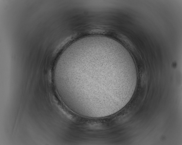 X0000089460729200707061302