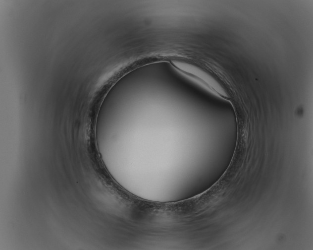 X0000089460732200707061302